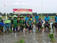Pemerintah Kecamatan Kanor MenggelarTanam Padi Serentak di 200 Hektar Lahan