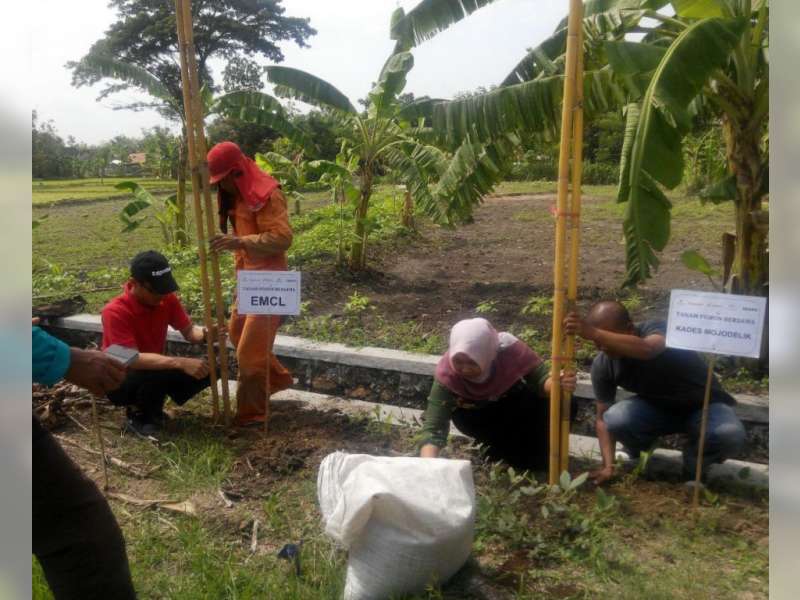 Jalan Poros Desa Mojodelik Ditanami Ribuan Batang Bambu Jepang