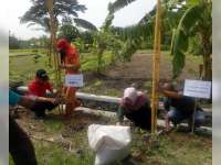 Jalan Poros Desa Mojodelik Ditanami Ribuan Batang Bambu Jepang