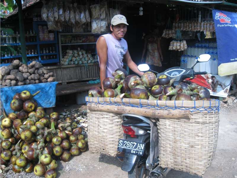 Tuak Sudah Ada Sejak Zaman Majapahit
