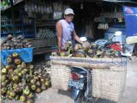 Tuak Sudah Ada Sejak Zaman Majapahit