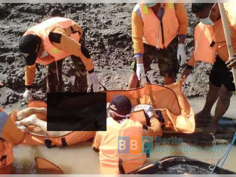Tim SAR Temukan Jenazah Mr X di Bengawan Solo Wilayah Kanten, Trucuk