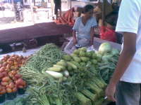 Harga Sayuran di Pasar Kota Anjlok Sejak Akhir Tahun