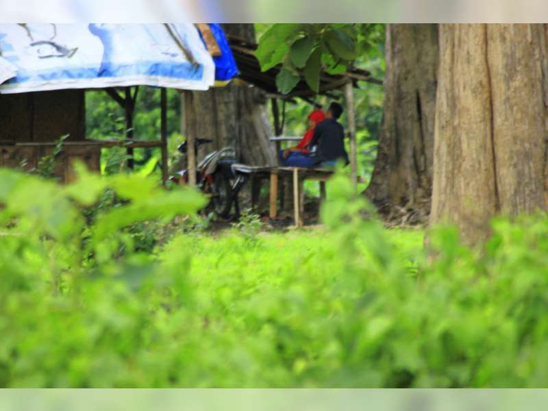 Liburan Tahun Baru, Objek Wisata Jadi Ajang Mesum