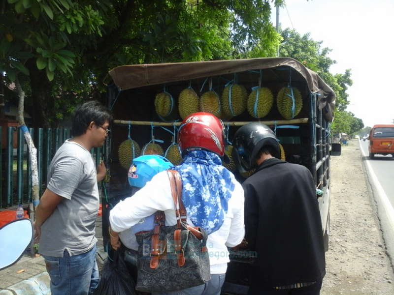 Berjualan di Atas Pikap Jadi Pilihan