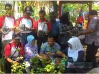 DKP Adakan Bimtek Pembibitan Bougenvil