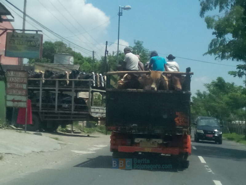 Empat Orang Menantang Bahaya