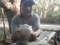 Dirikan Museum Mini untuk Menyimpan Fosil dan Benda Purbakala