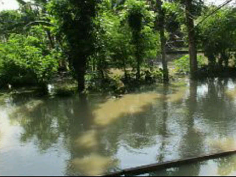 Sempat Meluap, Sungai Kali Apur Bawa Berkah Bagi Petani