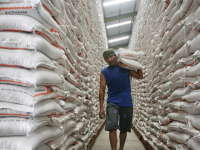 Stok Beras Hanya Cukup Untuk Dua Bulan Mendatang