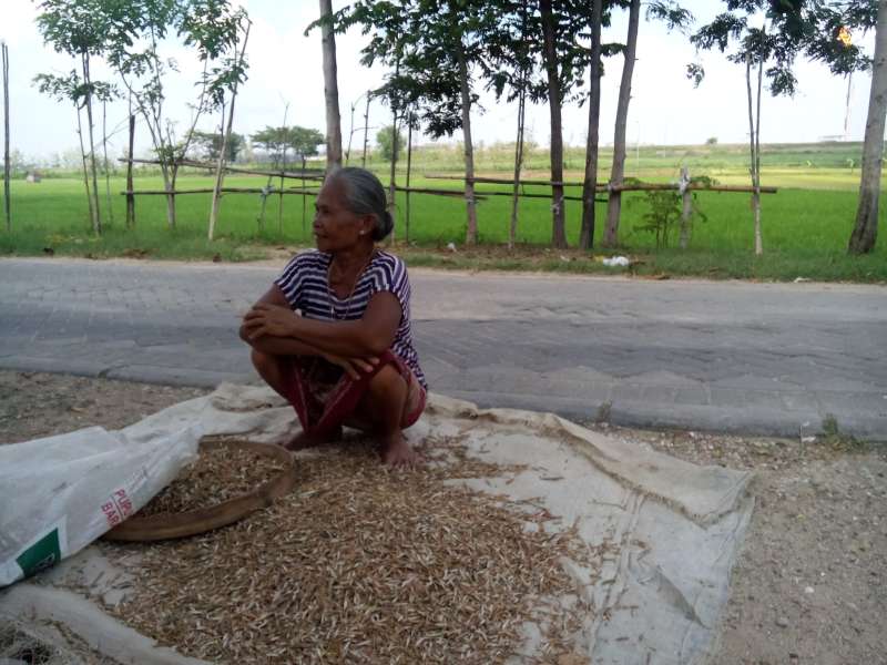 Bau Seperti Telur Busuk Sering Muncul pada Sore hingga Malam