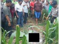 Diduga Epilepsi Kambuh, Warga Baureno Ditemukan Tak Bernyawa di Ladang