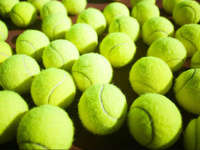 PELTI Bojonegoro Akan Siapkan Atlet Berbakat Sedari SD