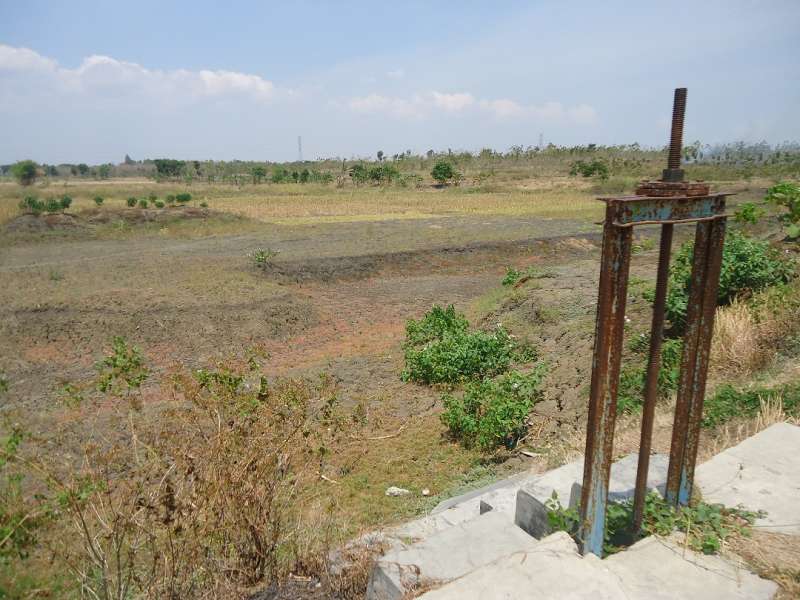 Musim Hujan, Embung-Embung Belum Terisi Air 