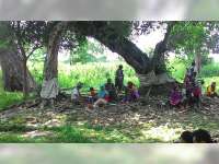 Juru Kunci Tepis Mitos Pohon Melengkung Bisa Awetkan Hubungan Asmara