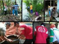 Gerakan 3M dan Abatisasi Lebih Efektif Daripada Fogging