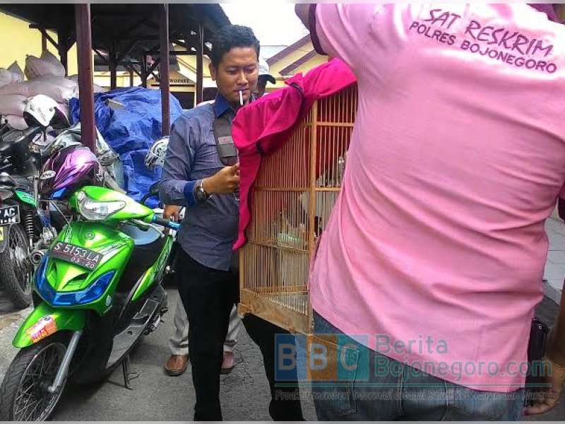 Kepergok Aksinya, Pencuri Burung di Kampungbaru Dihajar Massa