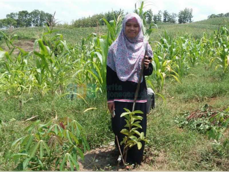 Dihiasi Ketapang Kencana dan Pucuk Merah, Persiapkan Karang Taruna Sebagai Pengelola