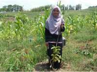 Dihiasi Ketapang Kencana dan Pucuk Merah, Persiapkan Karang Taruna Sebagai Pengelola