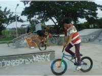 Belum Semua Olahraga Punya Kepengurusan Cabang