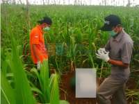 Dalam Sehari Ditemukan Dua Sosok Mayat