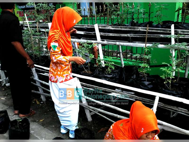 Pelajar MA Bahrul Ulum Kepohbaru Buat Pestisida dari Daun Sirsak