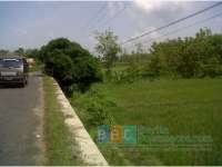 Hujan Mulai Turun, Petani Masih Kesulitan Air