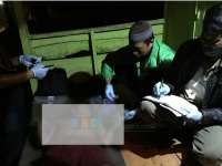 Seorang Pencari Kayu Rencek Tewas di Hutan Widang