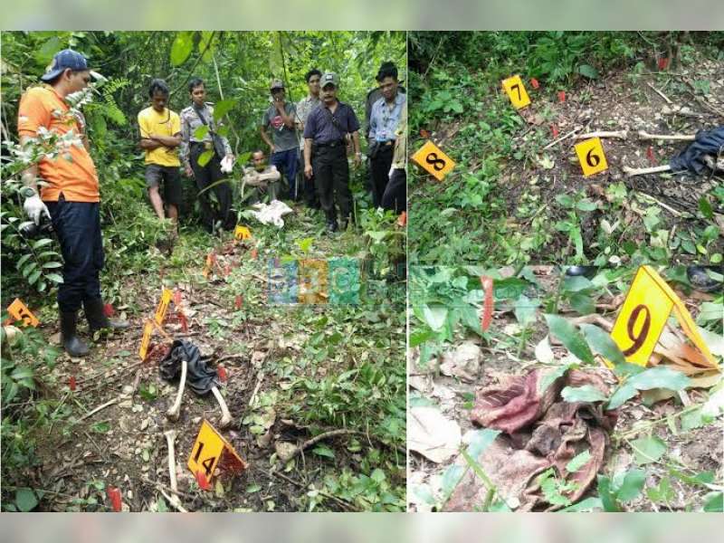 Cari Jamur di Hutan, Dua Warga Temukan Mayat 