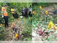 Cari Jamur di Hutan, Dua Warga Temukan Mayat 