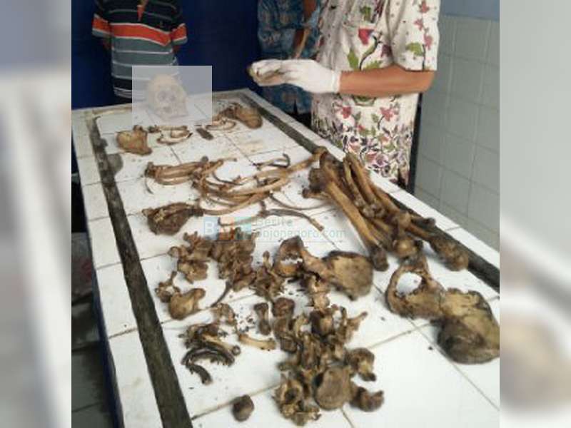 Besok, Tengkorak dan Kerangka Mr X Dikubur di Makam Kembar Sukorejo