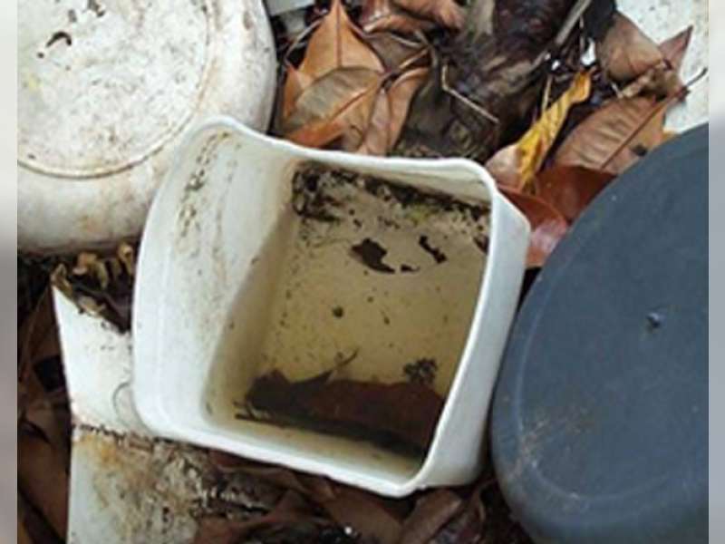 Waspada Genangan Air, Hati-Hati Sarang Nyamuk