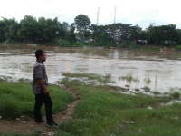 Dungus dan Karangnongko Turun, Bojonegoro Masih Naik