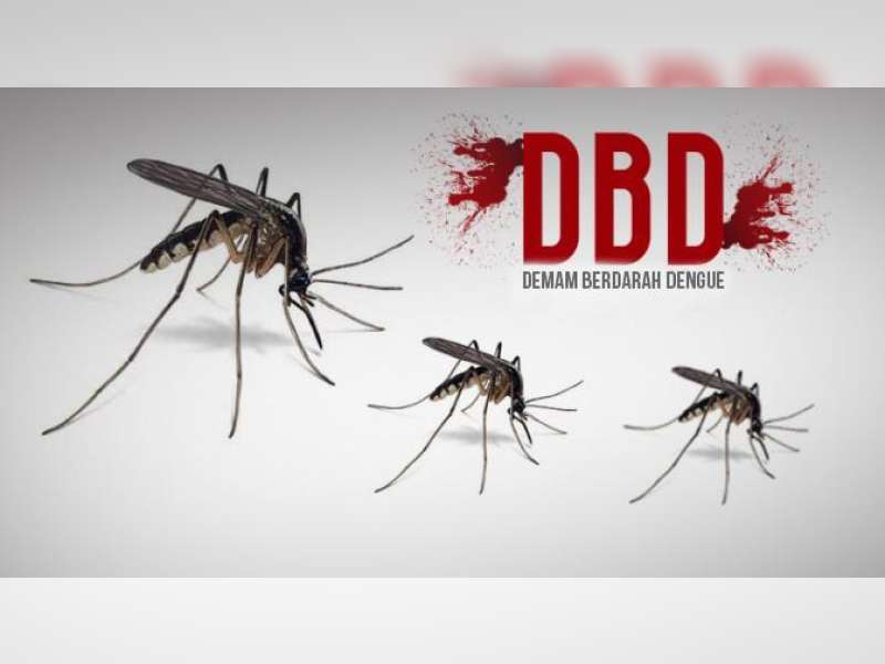 Cegah Demam Berdarah, Petugas Puskesmas Balen Keliling Kampung