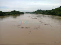 Bojonegoro Kota, Siaga Banjir