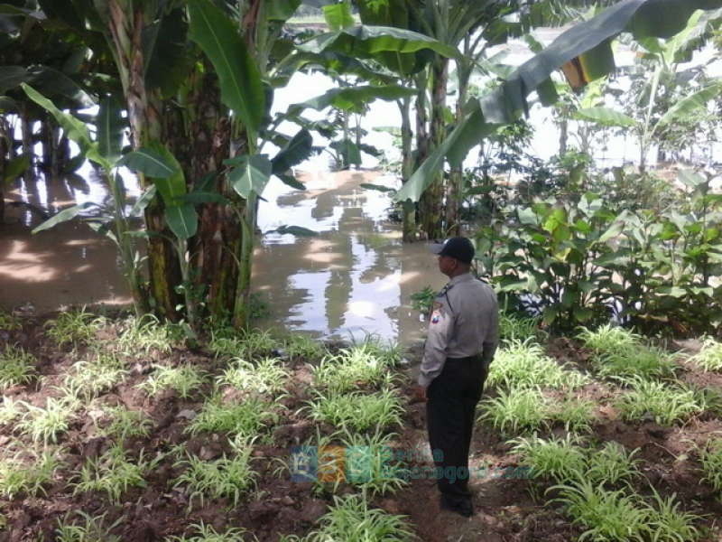 Pukul 18.00 WIB, Tiga Kecamatan Mulai Tergenang