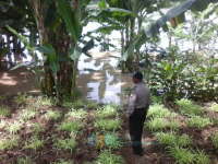 Pukul 18.00 WIB, Tiga Kecamatan Mulai Tergenang