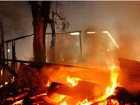 Usir Nyamuk Dengan Bediang, Kandang Sapi Malah Terbakar