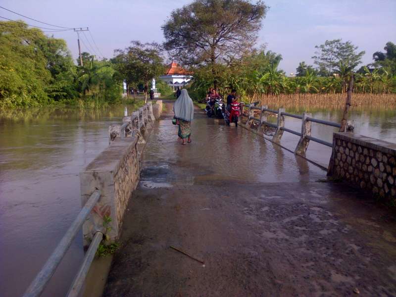Ratusan Hektar Lahan Padi dan Jagung di Trucuk Terendam Banjir 