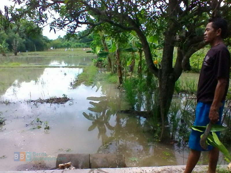 Disnakkan Lakukan Pemeriksaan Hewan di Desa yang Kebanjiran