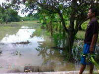 Disnakkan Lakukan Pemeriksaan Hewan di Desa yang Kebanjiran