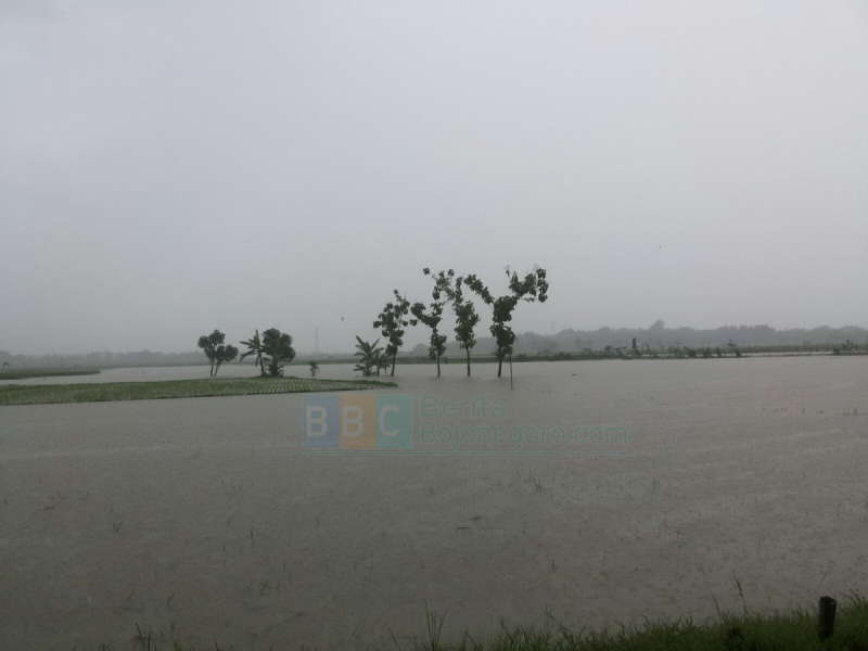 Update Status TMA Bengawan Solo || Selasa (09/02) Pukul 21.00 WIB