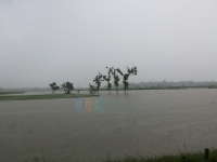 Update Status TMA Bengawan Solo || Selasa (09/02) Pukul 21.00 WIB