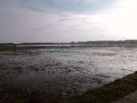 Update Status TMA Bengawan Solo || Rabu (10/02) Pukul 09.00 WIB