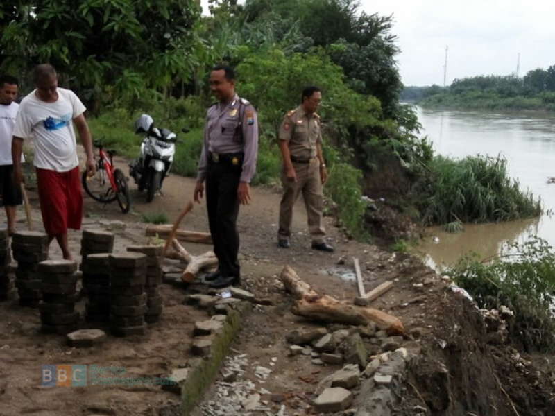 Puluhan Meter Tebing Bibir Bengawan di Padangan dan Malo Longsor