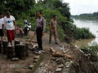 Puluhan Meter Tebing Bibir Bengawan di Padangan dan Malo Longsor