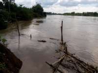 Bengawan Surut, Tanah Bantaran Rawan Longsor 