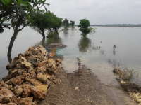 Update Status TMA Bengawan Solo || Sabtu (13/02) Pukul 12.00 WIB   