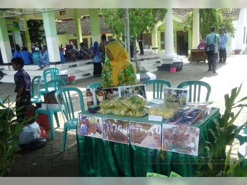  Sudah Masuk Supermarket Lokal,  Masih Perlu Pengembangan