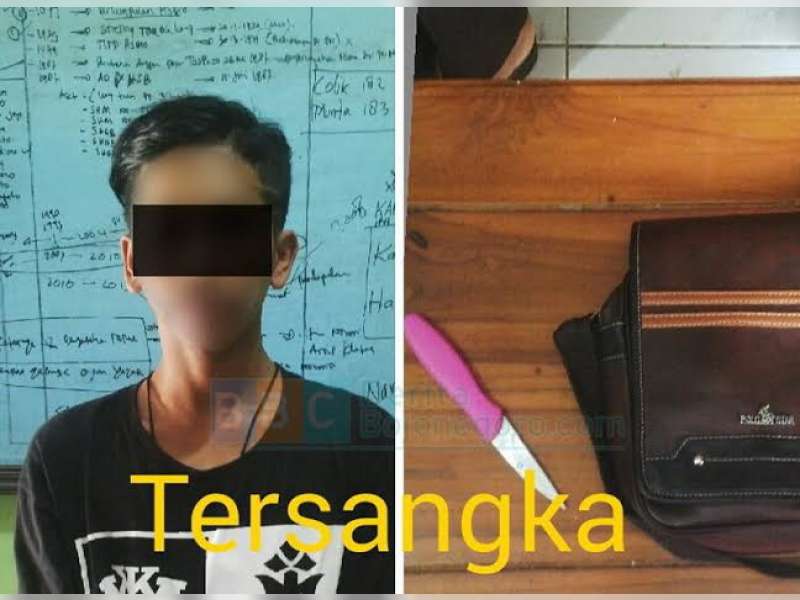 Bawa Senjata Tajam dalam Tas, Seorang Pemuda Diamankan Polisi 
